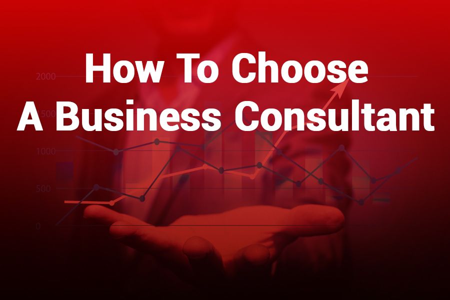 What Does a Business Consultant Do? Complete Guide